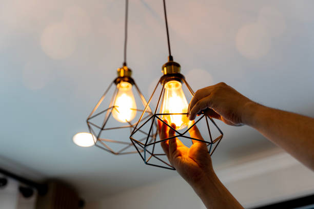 Best Electric Panel Repair  in Inverness, CO